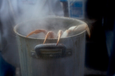 The Inertia 6.2 Da Crab in pot IMG_0179.jpg