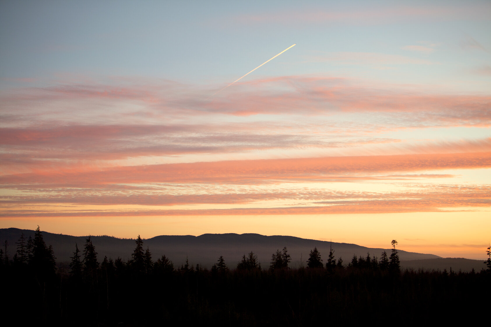 The Olympic Peninsula