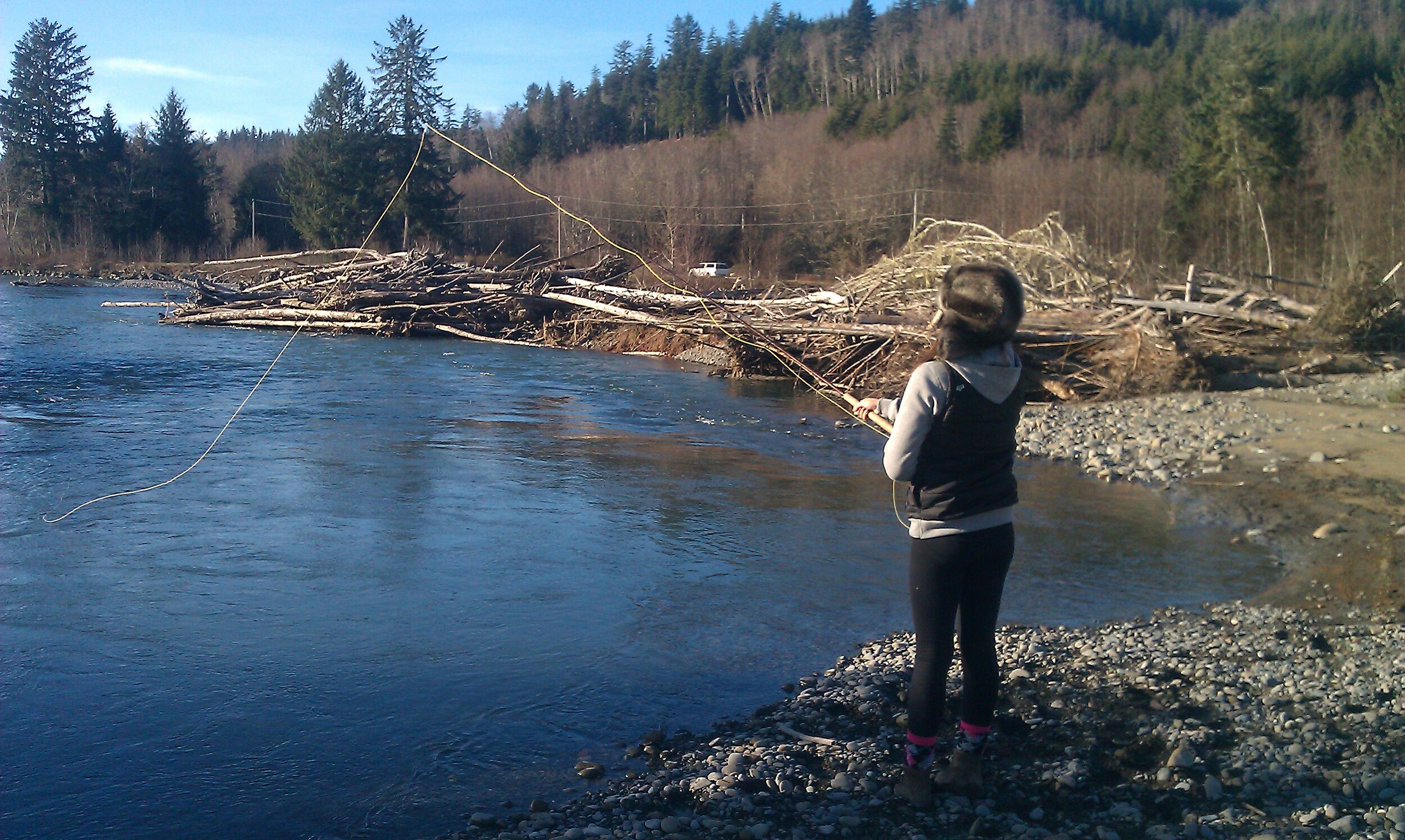 Hoh River, Olympic Peninsula, Washington