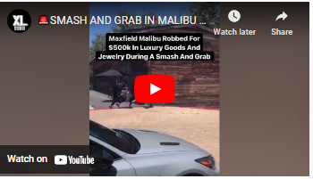 Malibu Fire: Smash and Grab