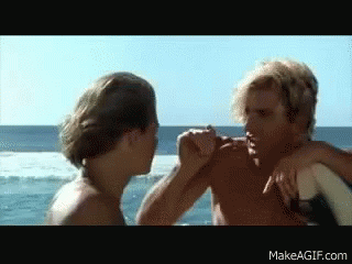 Surfer Video awards - turtle drilled gif - 3-10-2023.gif