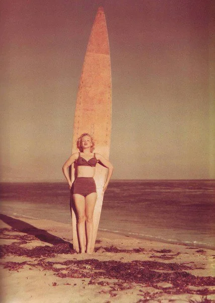 Shifren Montage 2  - Marilyn by board from Michael 4-2011.jpg