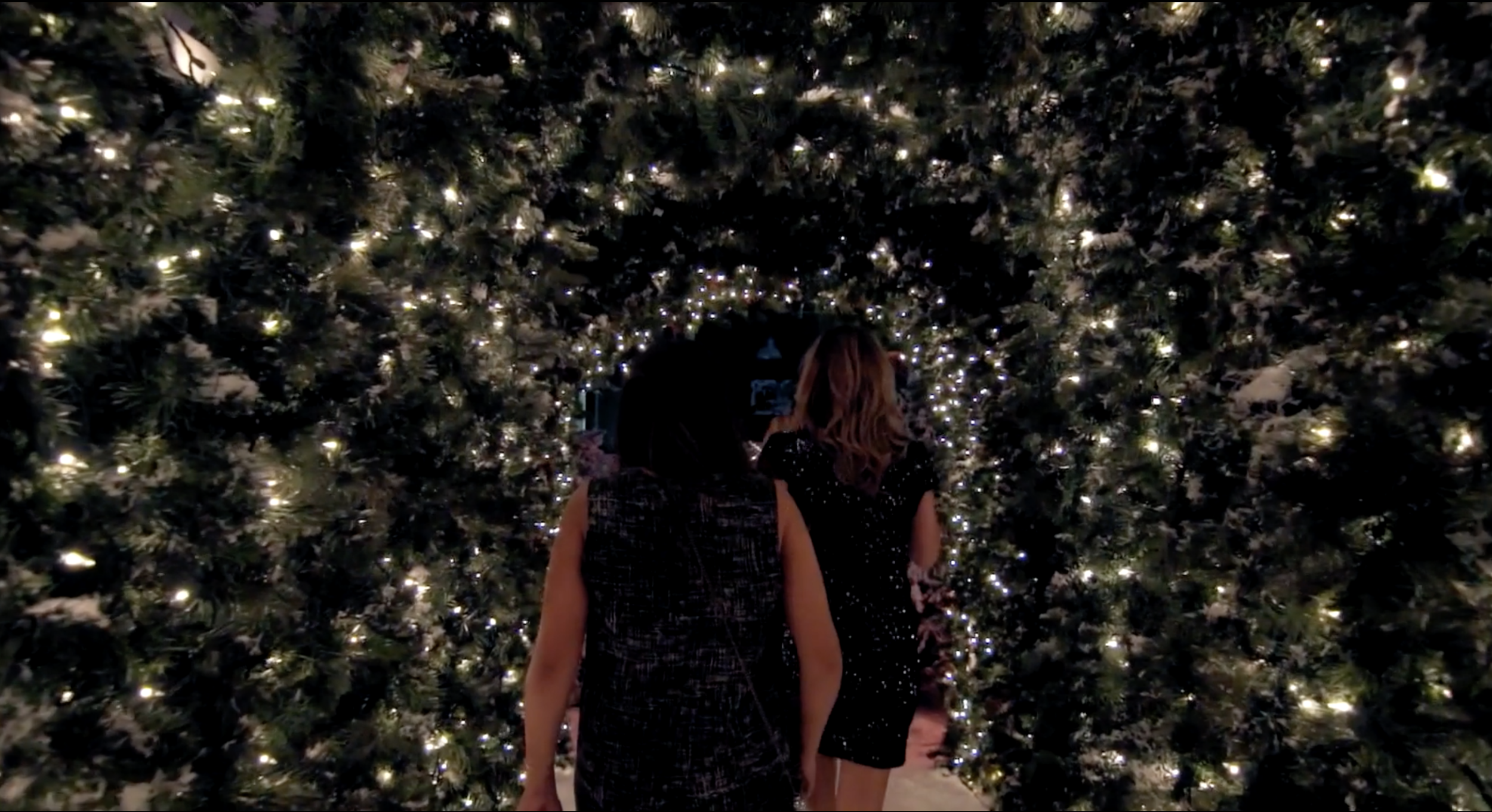 Screen Shot 2021-05-20 at 2.43.49 PM.png