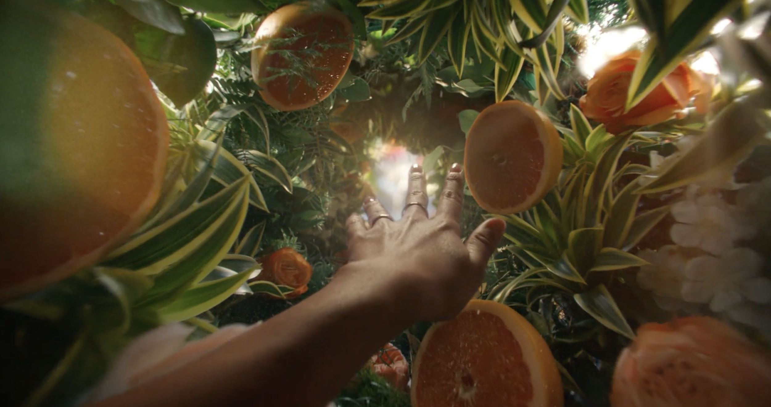 Screen Shot 2026-02-06 at 6.30.13 PM.png