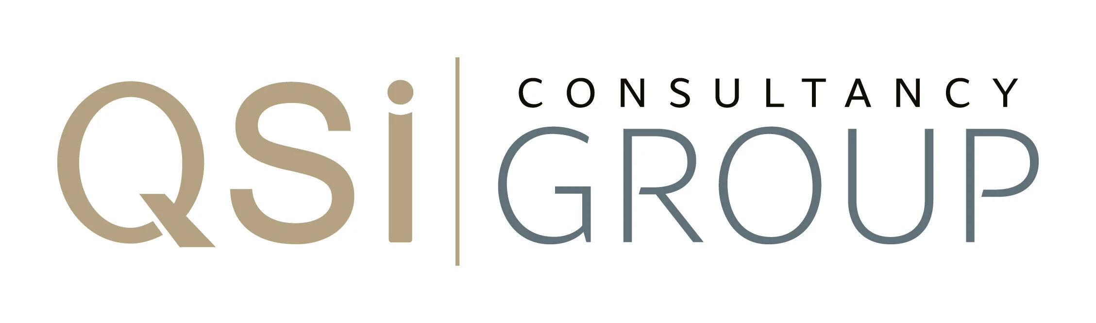 member - QSi Group_logo.jpg