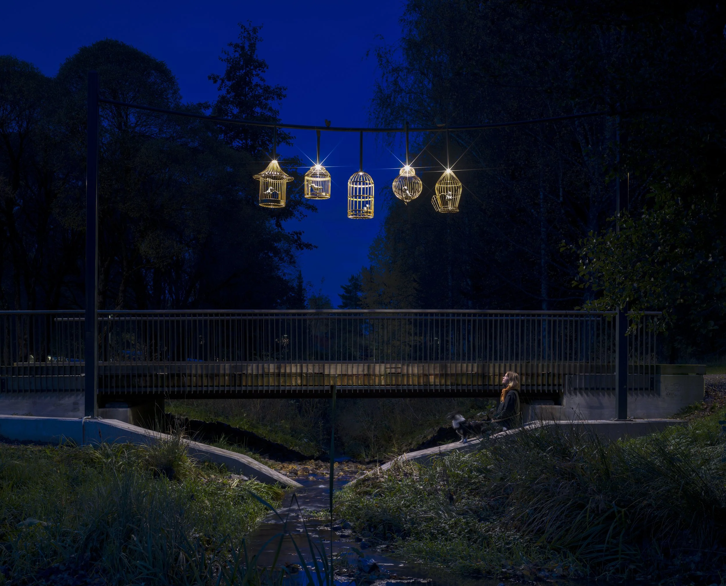 Johanna Ilvessalo: Kultainen häkki (2024, Martinlaakso/Jokiuomanpuisto). Kuva: Sami Parkkinen.