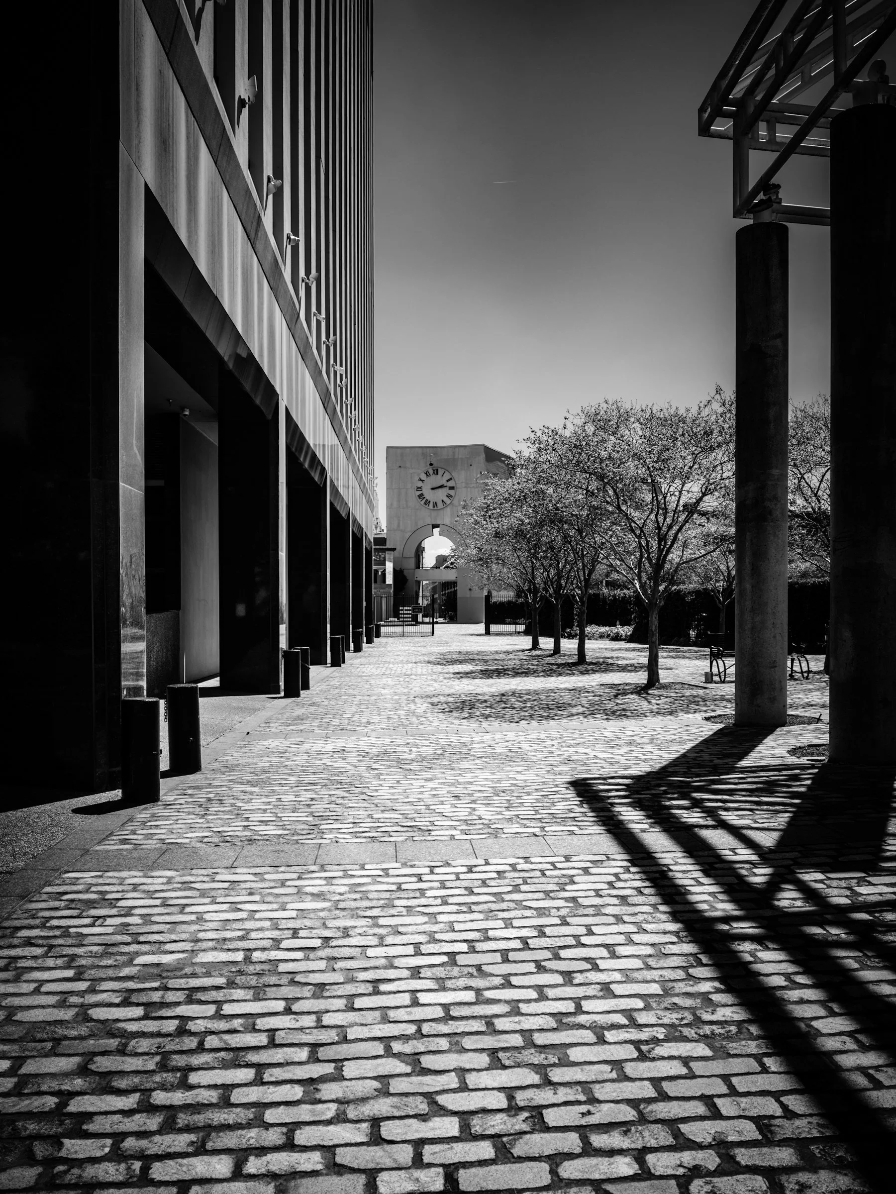 _DSF0645.jpg
