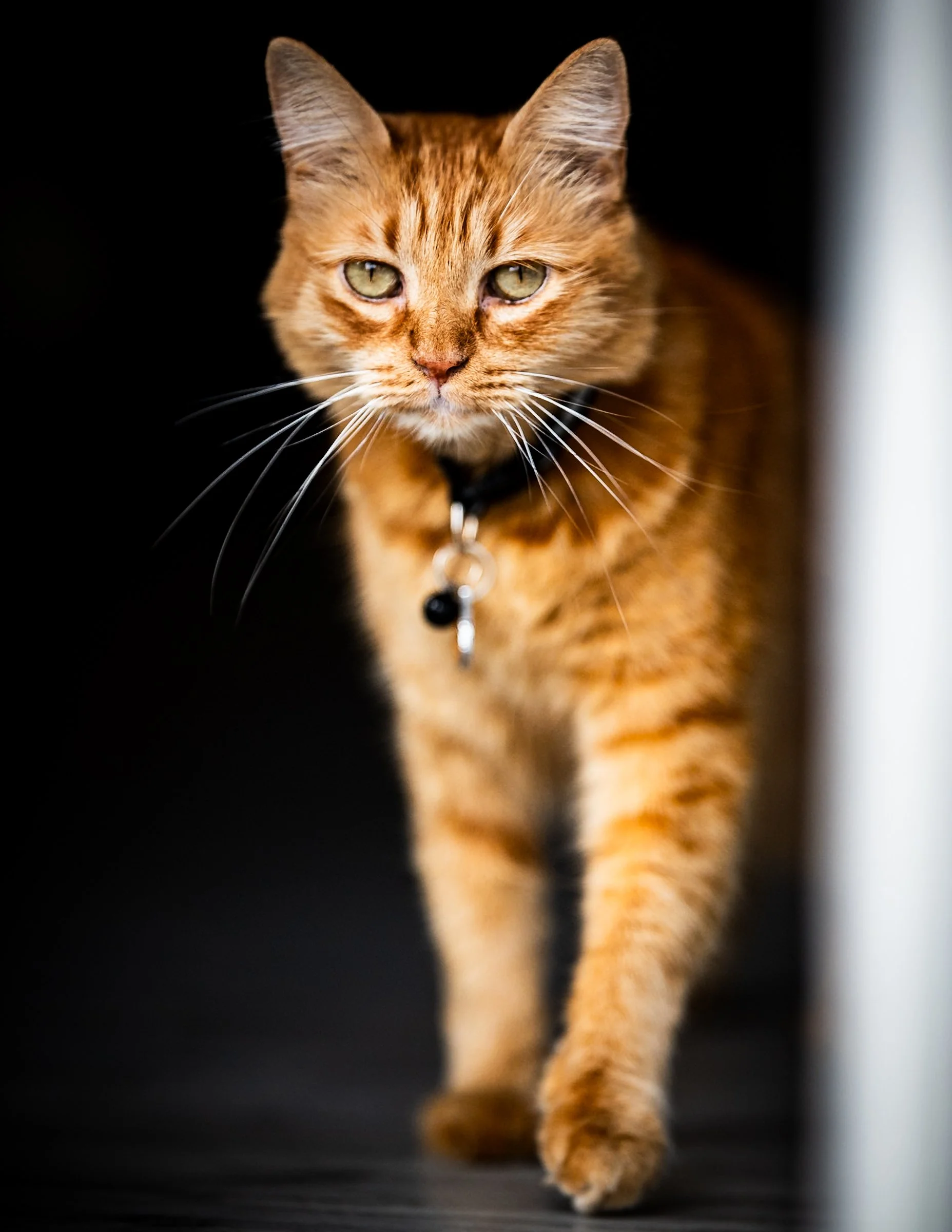 _MHZ0713.jpg