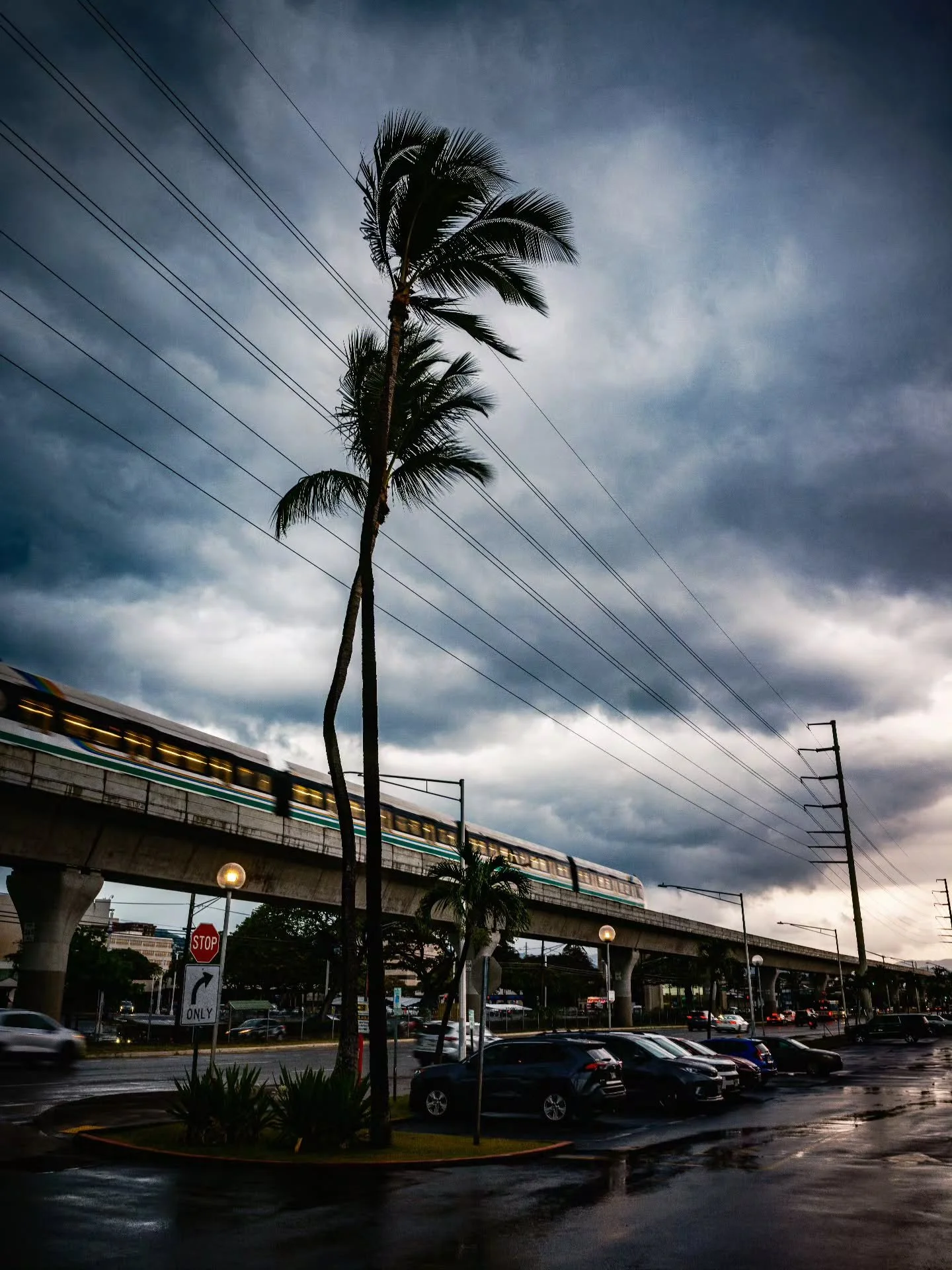 5-15-26
Hawaii
GFX100RF
@pro_camera_hawaii
@fujifilmx_us
@hawaiistreetshooters

#photography #fujifilm #streetphotography #gfx #hawaii