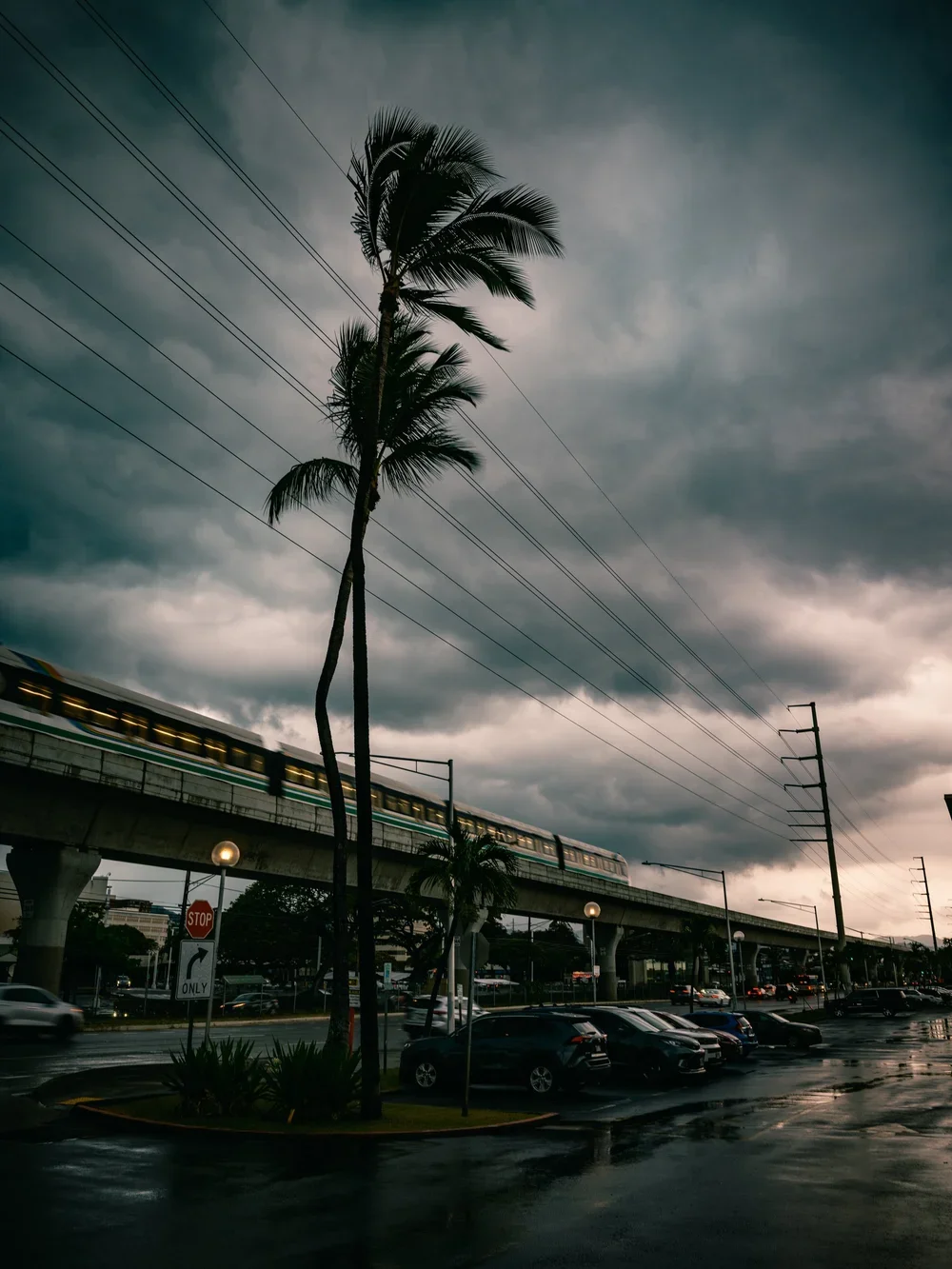 _DSF0821.webp