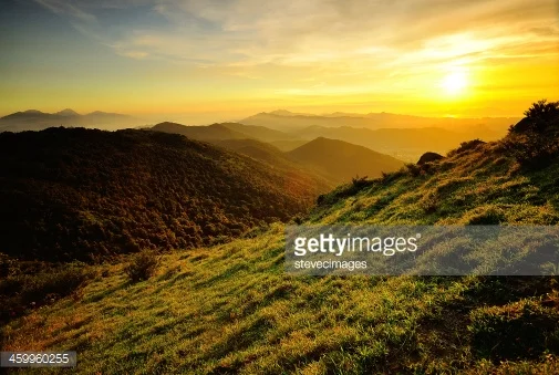 Photo by stevecimages/iStock / Getty Images