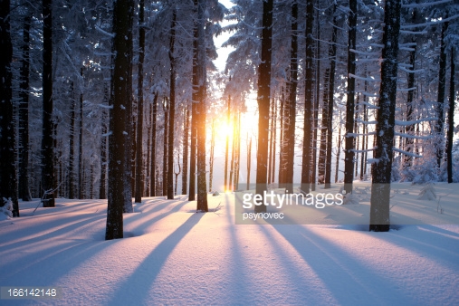 Photo by psynovec/iStock / Getty Images