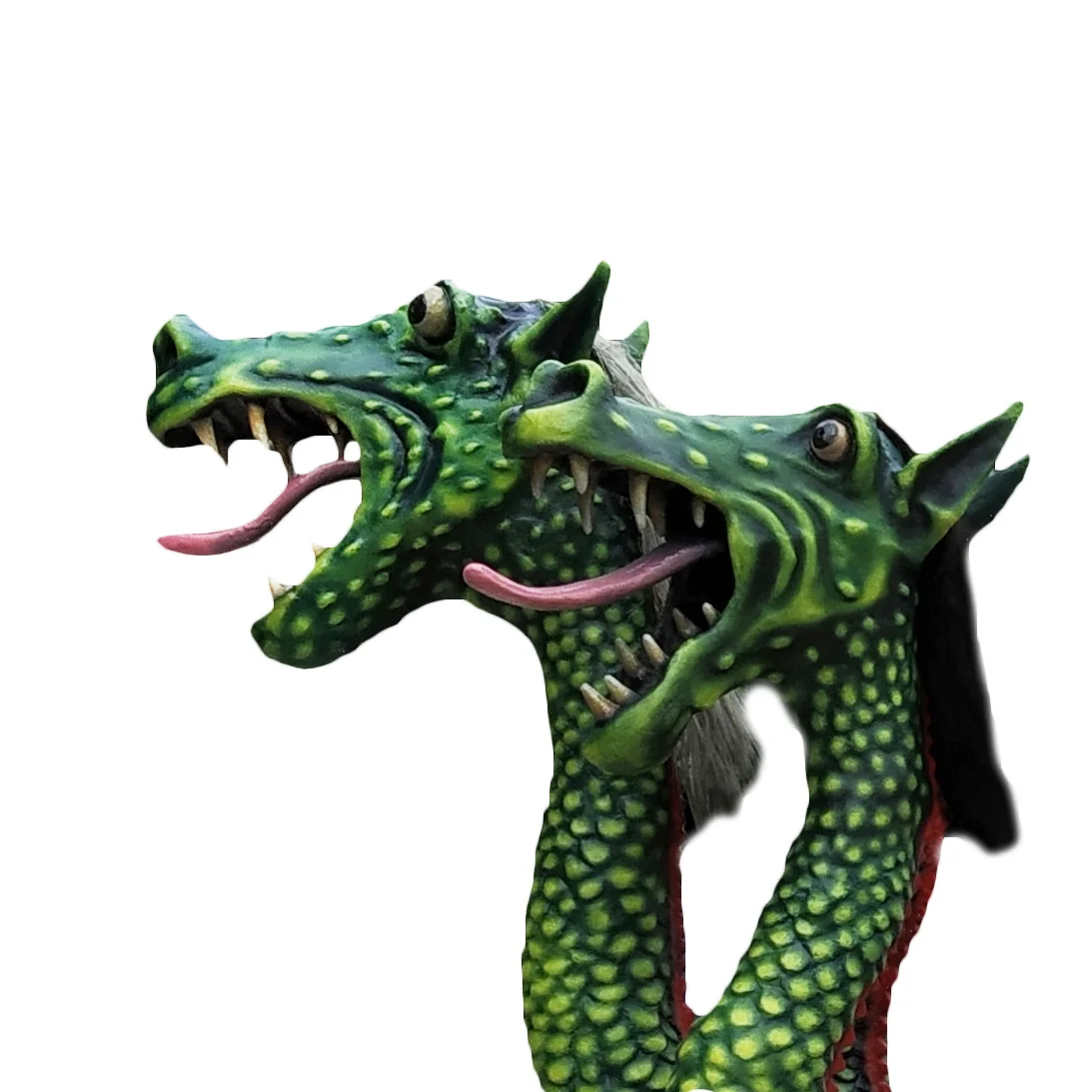 drac ribes perfil.jpg