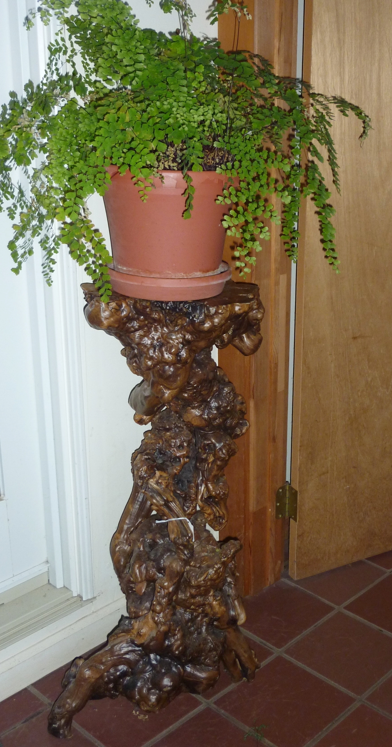 Wood burl root plant stand, China, mid 20th century.