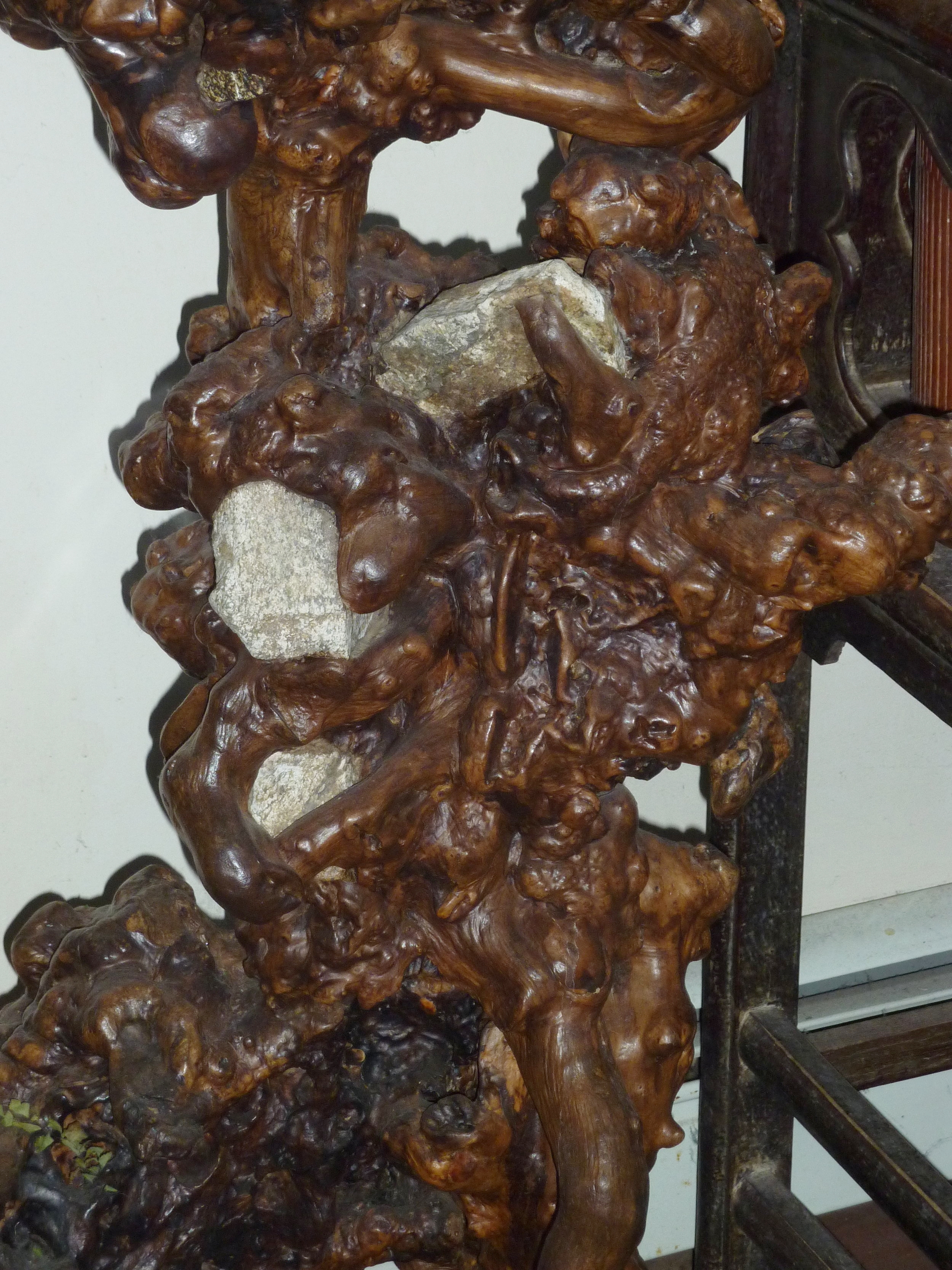 Wood burl root plant stand, China, mid 20th century, detail.