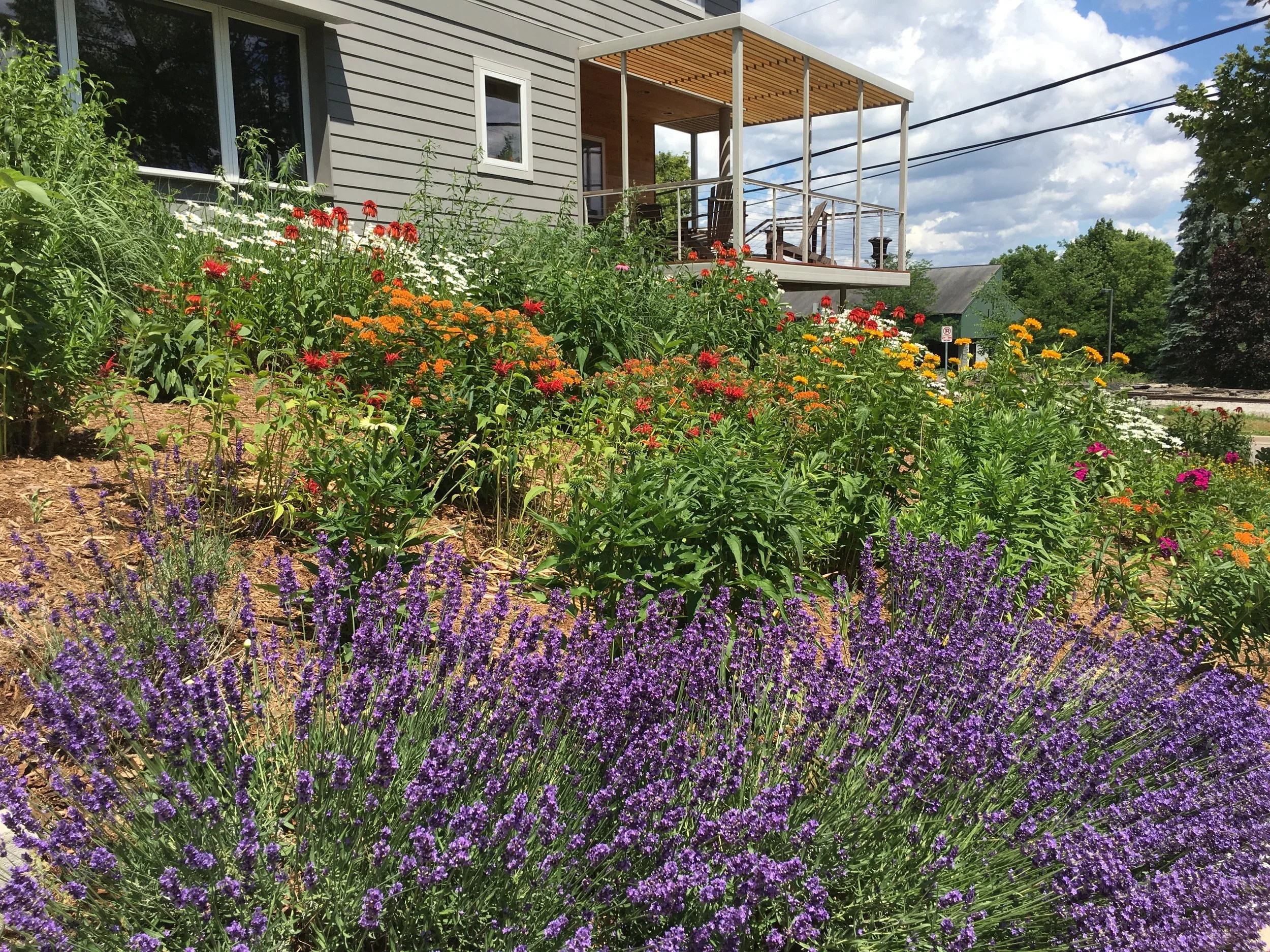  2 years later, garden is maturing. 