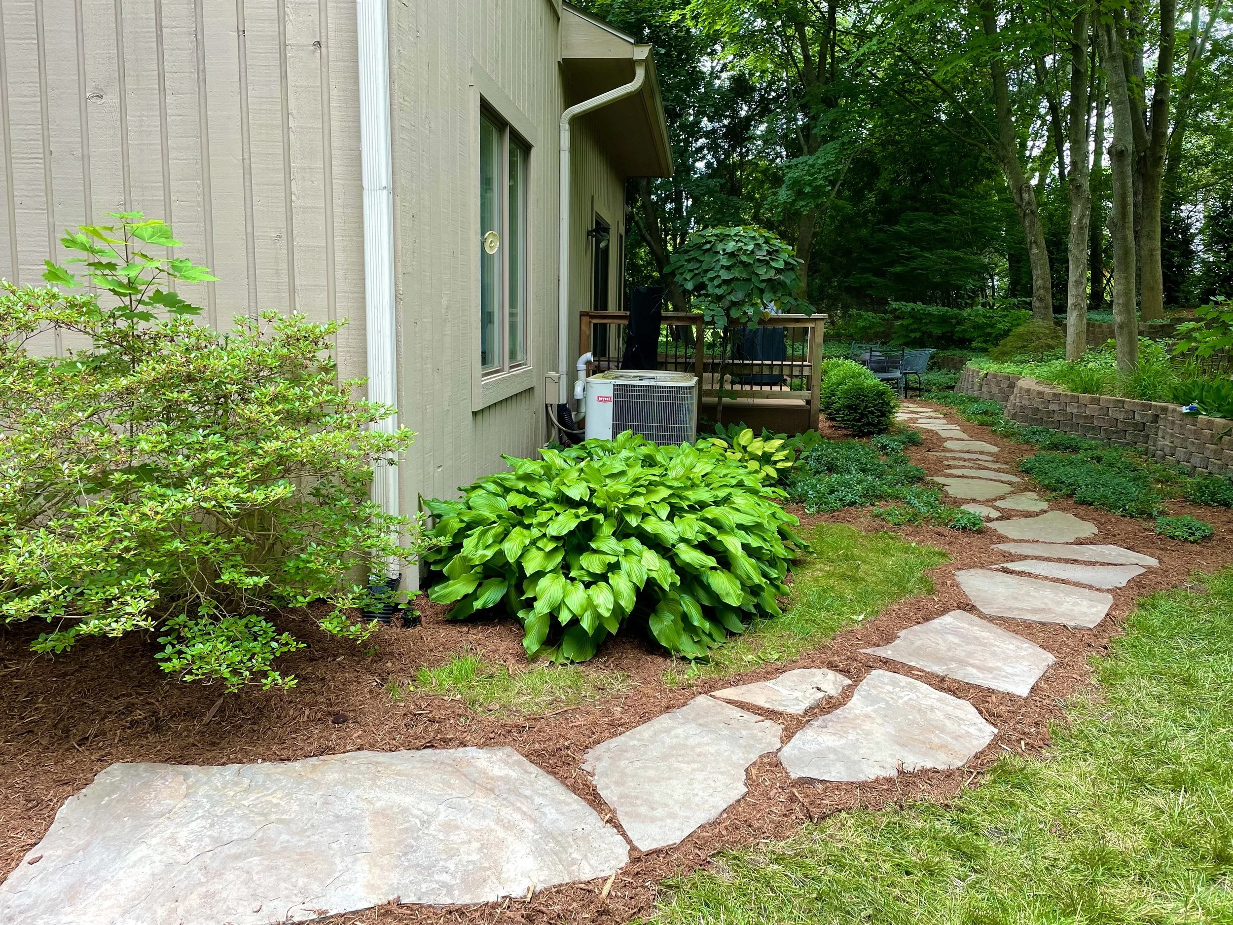 Sandkvist path2.jpeg