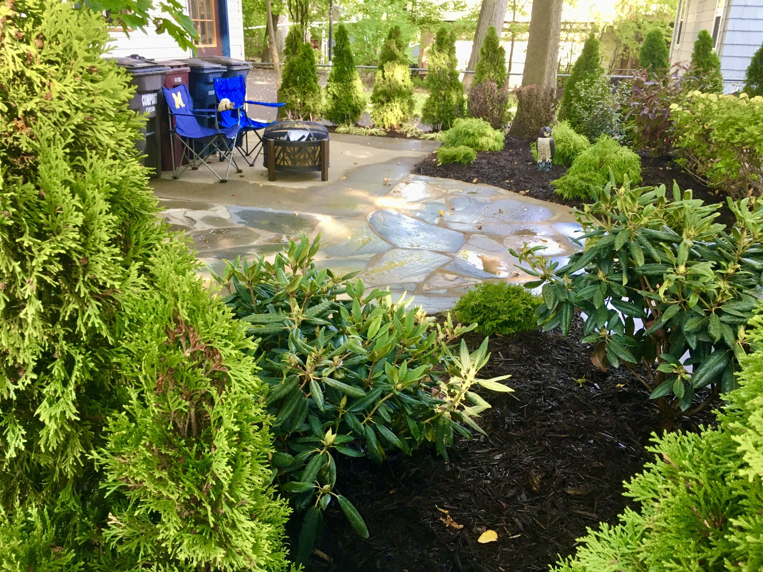 backyard2.JPG