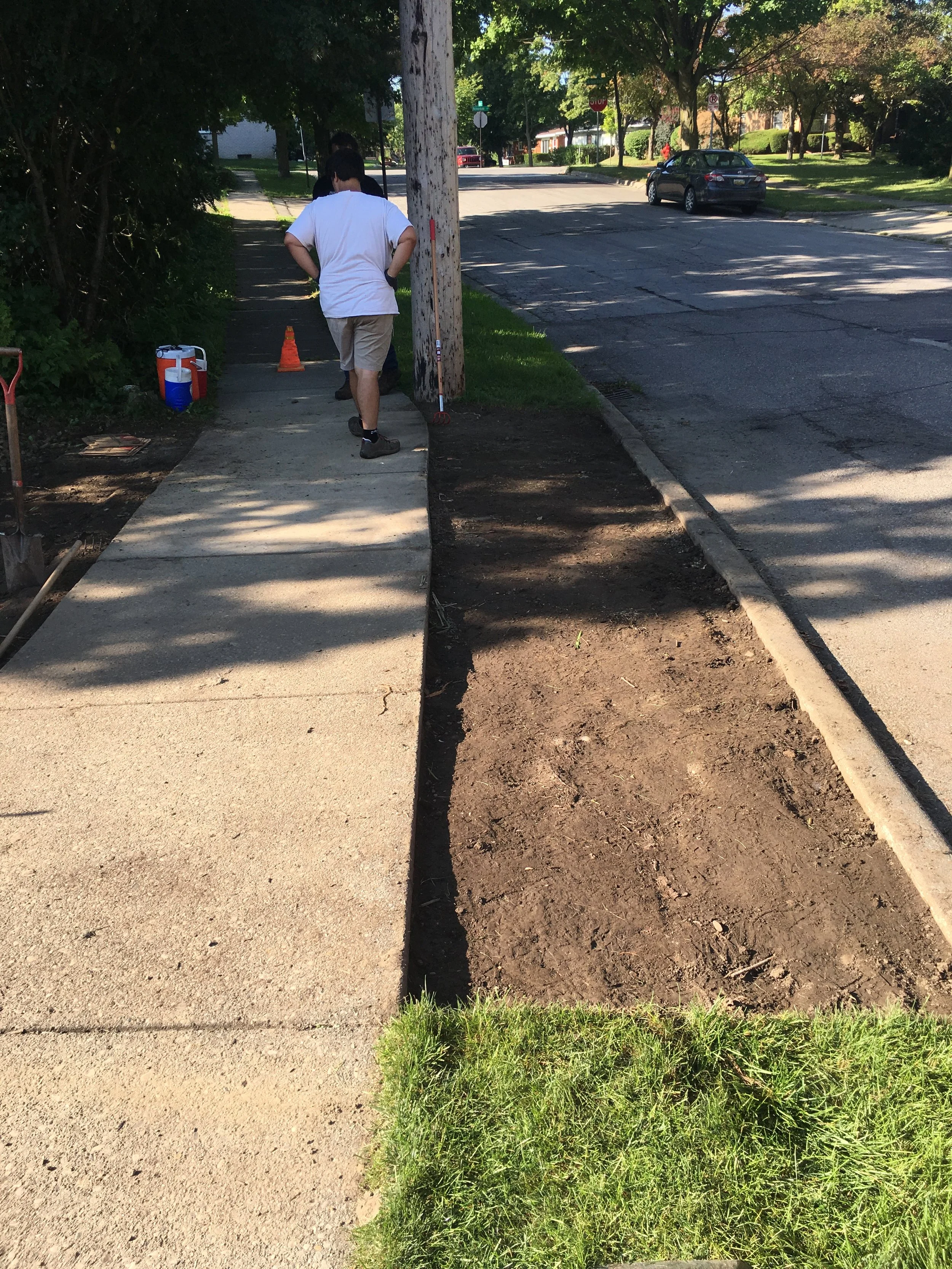 rain garden1.JPG
