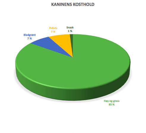 Her har jeg laget et diagram som viser hvordan kaninens kosthold bør se ut. Her ser dere også lett hvor mye høy og gress kaninen faktisk skal spise. Dette er jo litt omtrentlig, men mengden høy bør alltid være minst 85 %. Jeg skrev 7% på både grønt og pellets, men dette er jo ikke noen fasit. Se den lille biten jeg satt av til godbiter. Illustrasjon: Marit Emilie Buseth