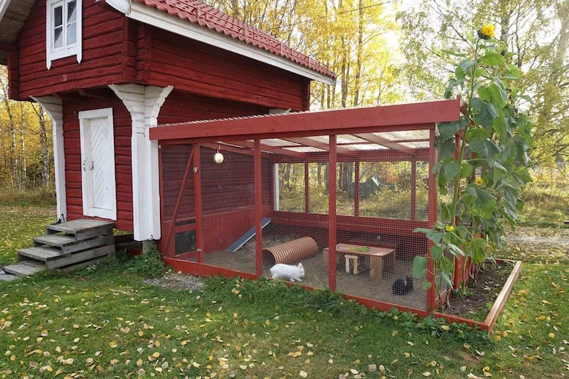 Utegård og hus til kanin — Den store kaninboka