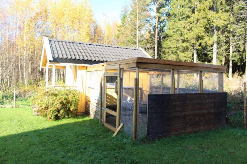 Her er det en vegg i løpegården som gir ekstra ly. Det er også godt med takhøyde i gården, slik at man selv kan gå inn og stelle og være sammen med kaninene. Foto: Linn Holm Kaiser