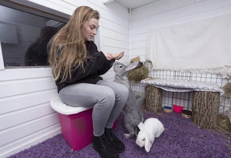 Bilde hentet fra Avisa Nordland.