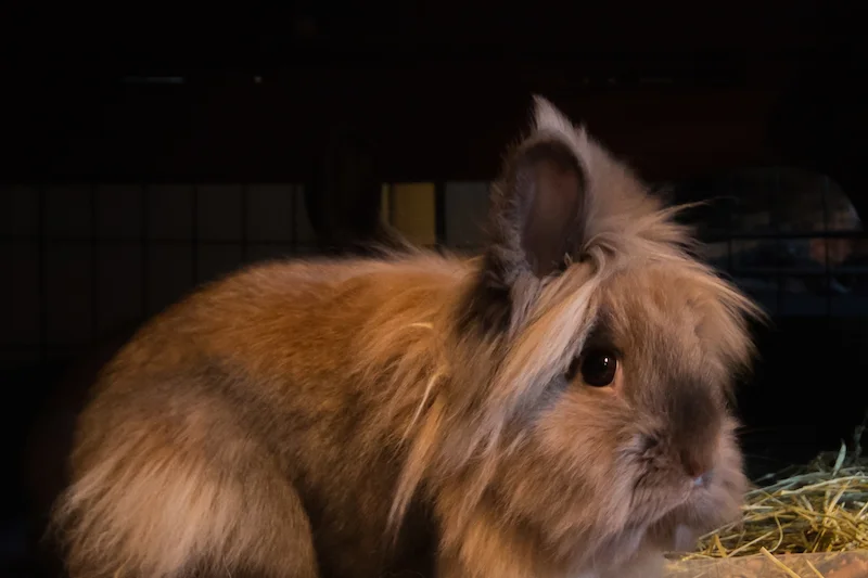 Robert er en bedagelig type som er glad for å ha kommet i hus.