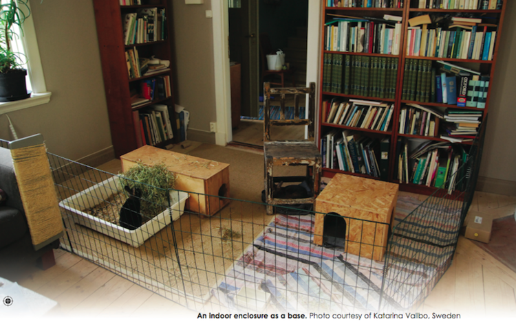 Man kan også bruke gjerdene til å lage enkle begrensninger innendørs. Her fra boka mi Rabbit Behaviour, Health and Care.
