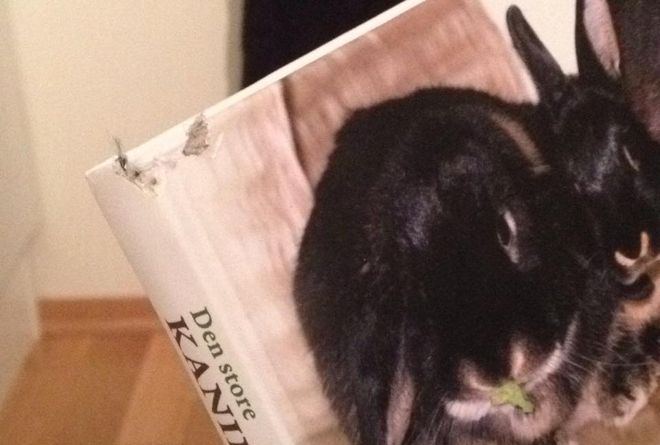 En godt brukt og spist bok