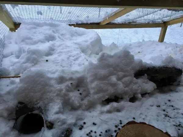 Vinter