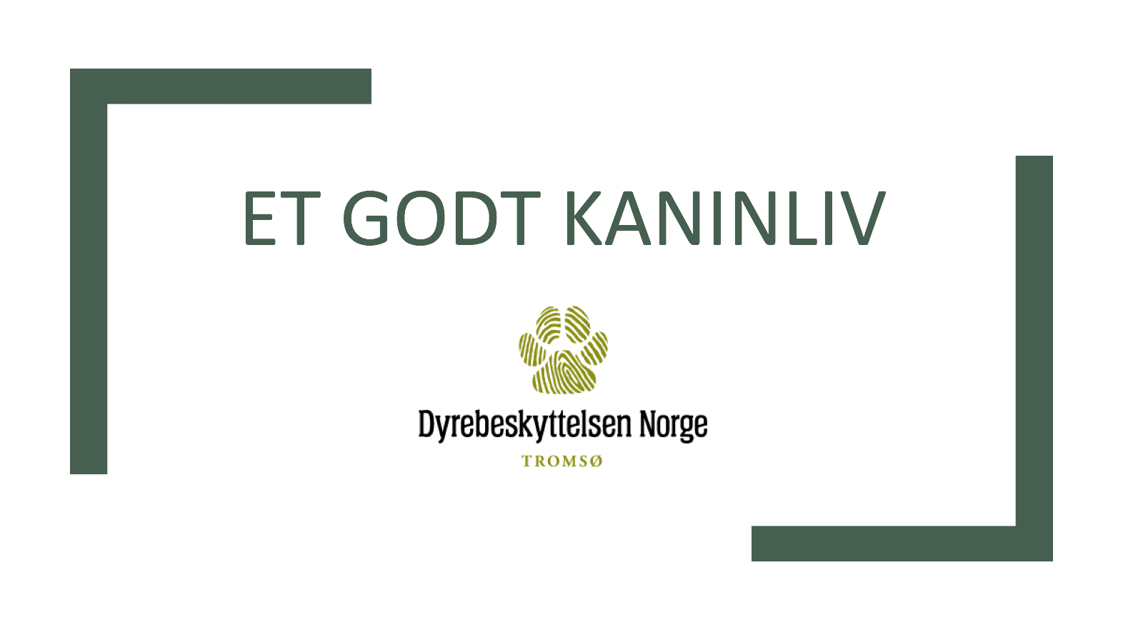 Skjermbilde 2018-01-29 kl. 17.39.51.png