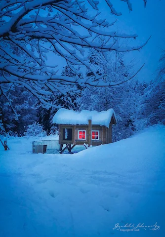 Et varmt og godt kaninhus i snøen  Foto: Gunnhild Gjessing Bay
