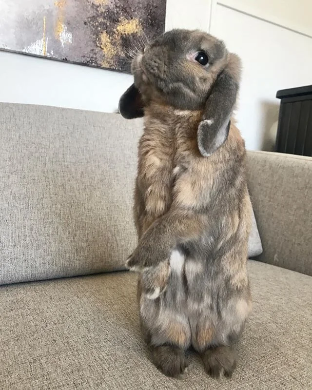 N&aring;r det er varmere ute enn inne er det helt greit &aring; sitte i sofaen ogs&aring; 😃