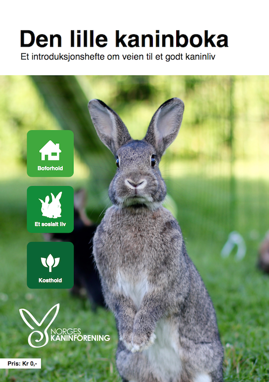 Den lille kaninboka