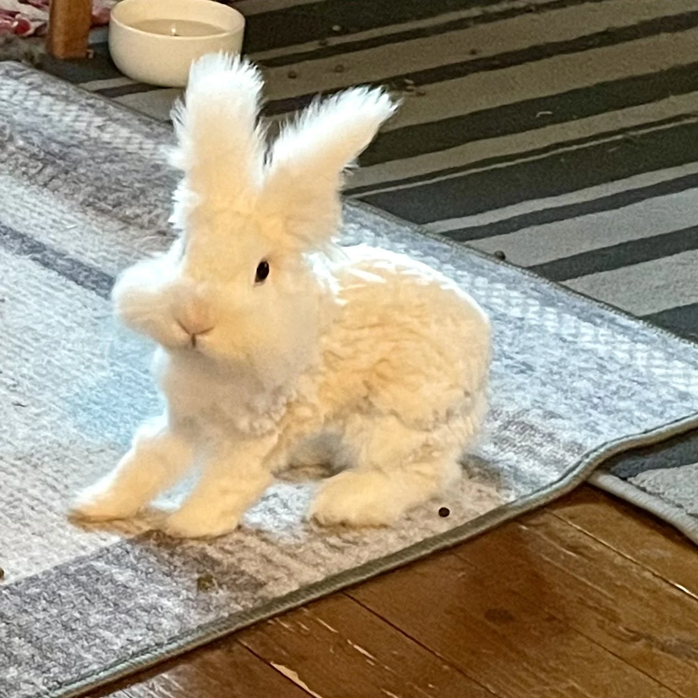 Mangler bare rød sløyfe