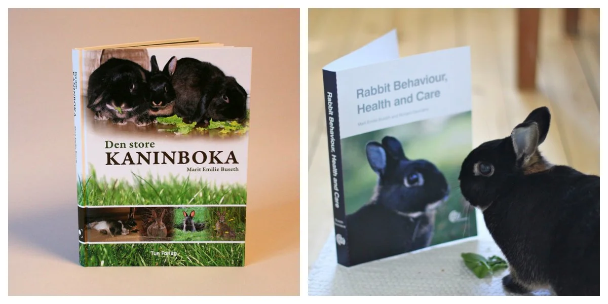 Den store kaninboka