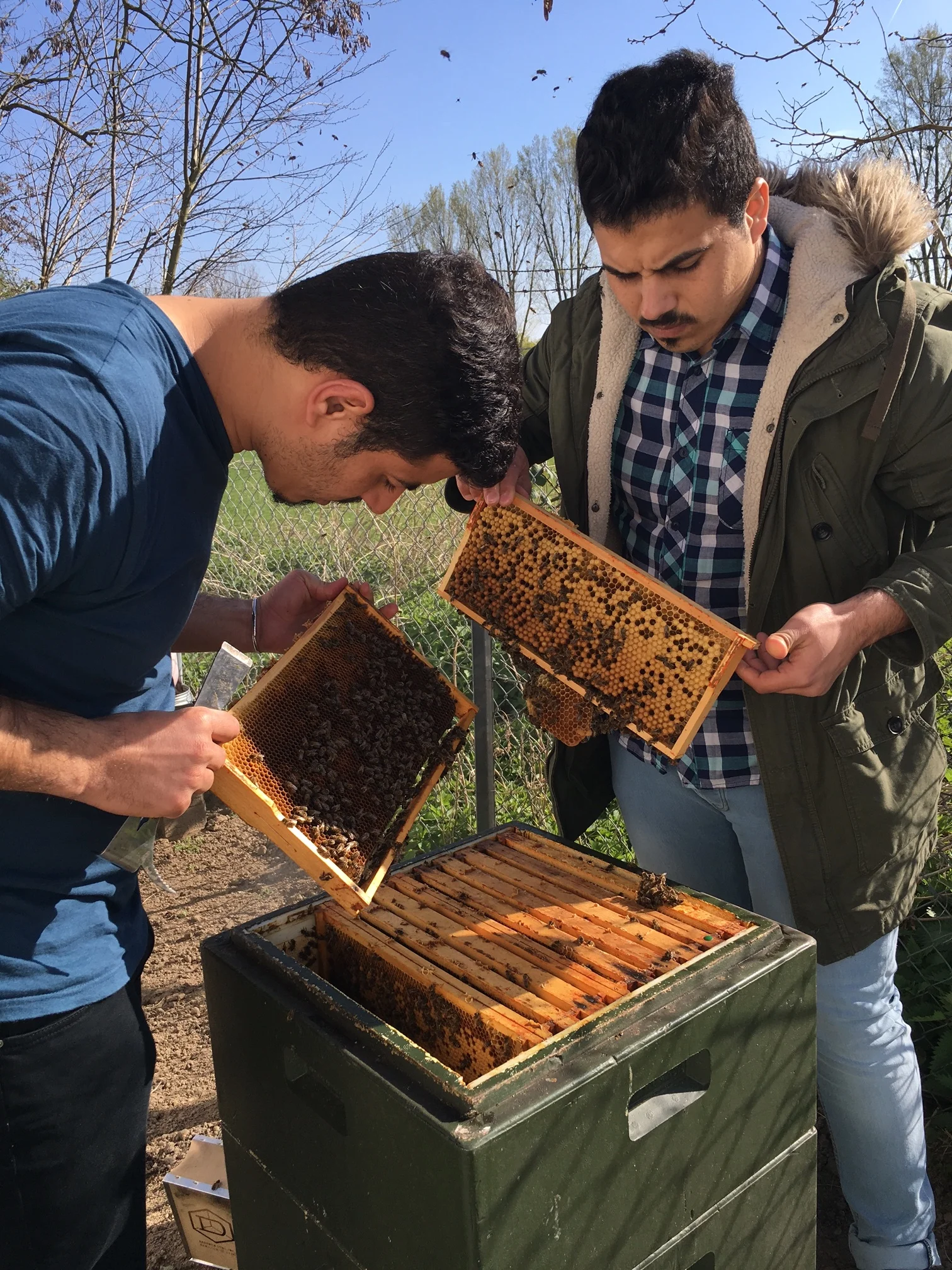 Geflüchtete werden selbst als ehrenamtliche Bienenlehrer ausgebildet...