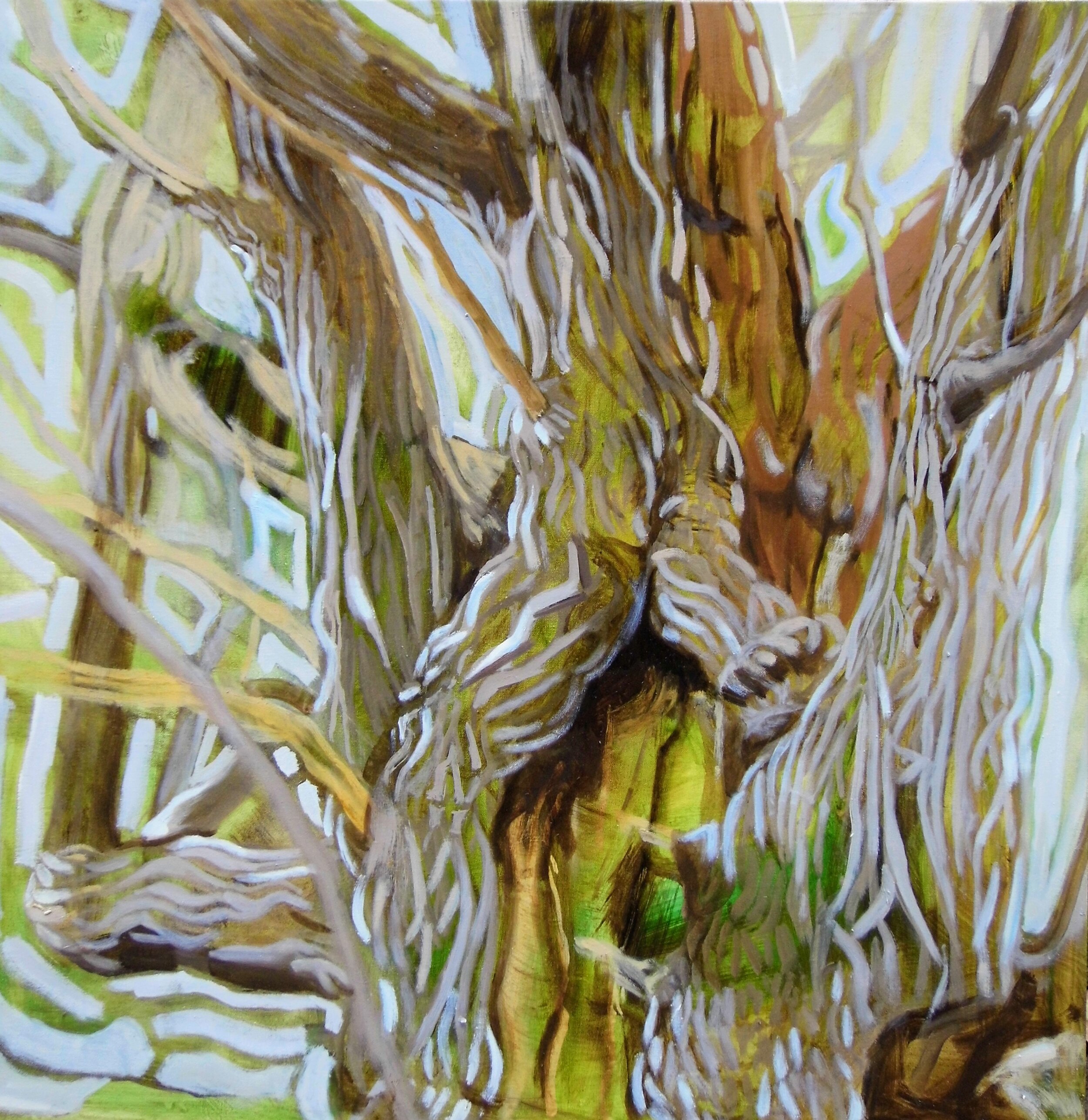 Aged Sweet Chestnut II 