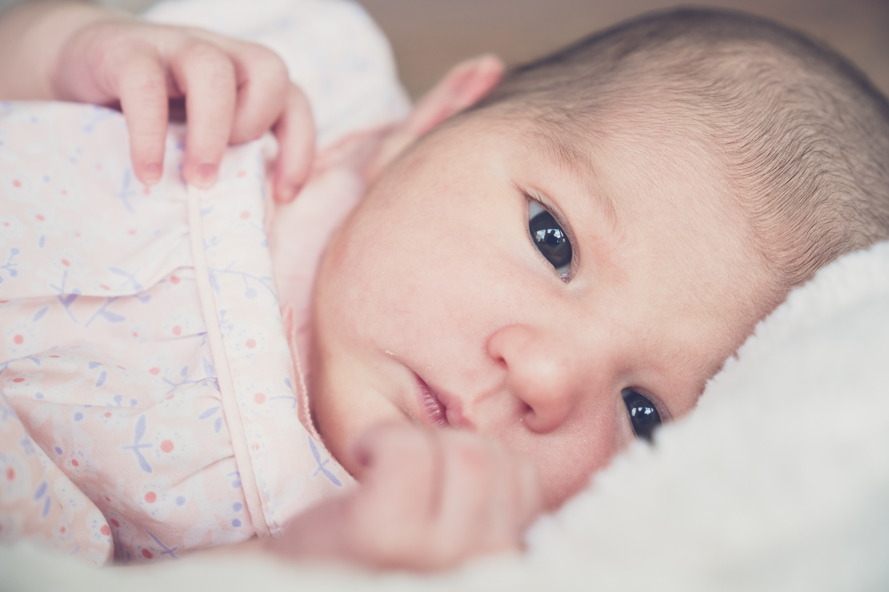 Newborn photo session