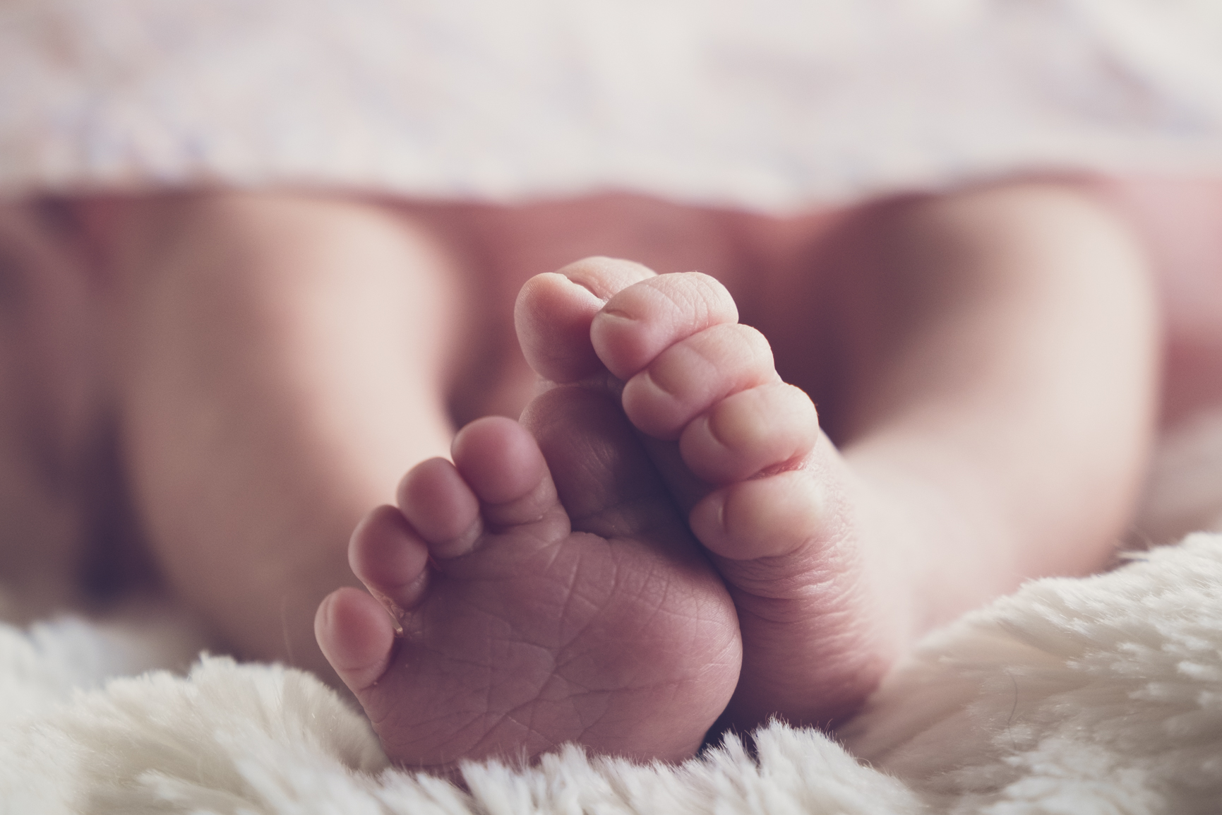Newborn photo session