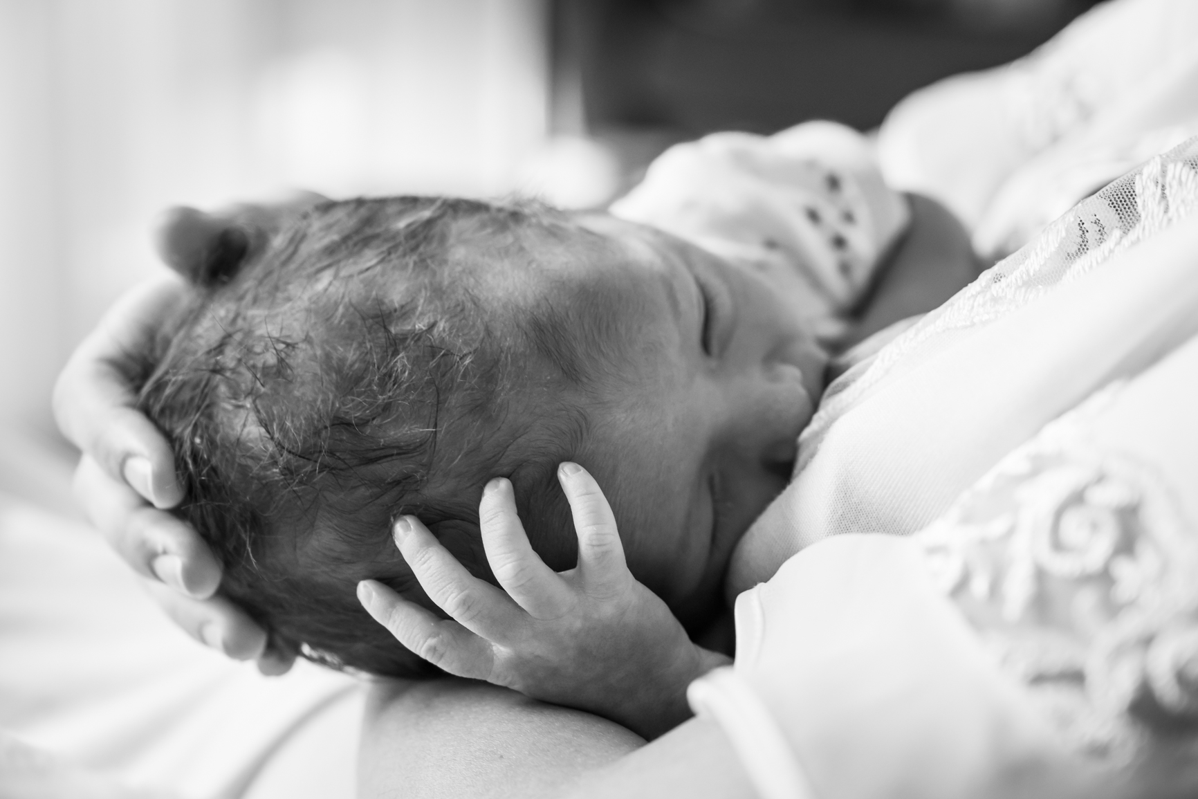 Newborn photo session