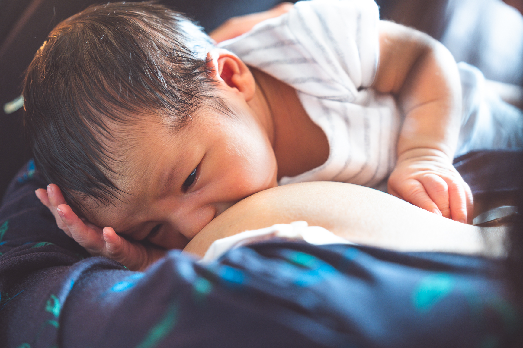 Newborn photo session 