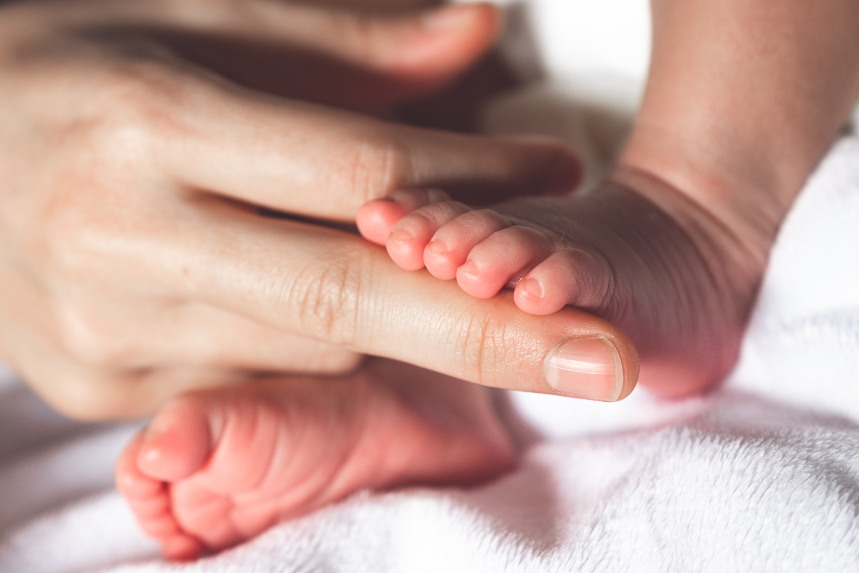 Newborn photo session