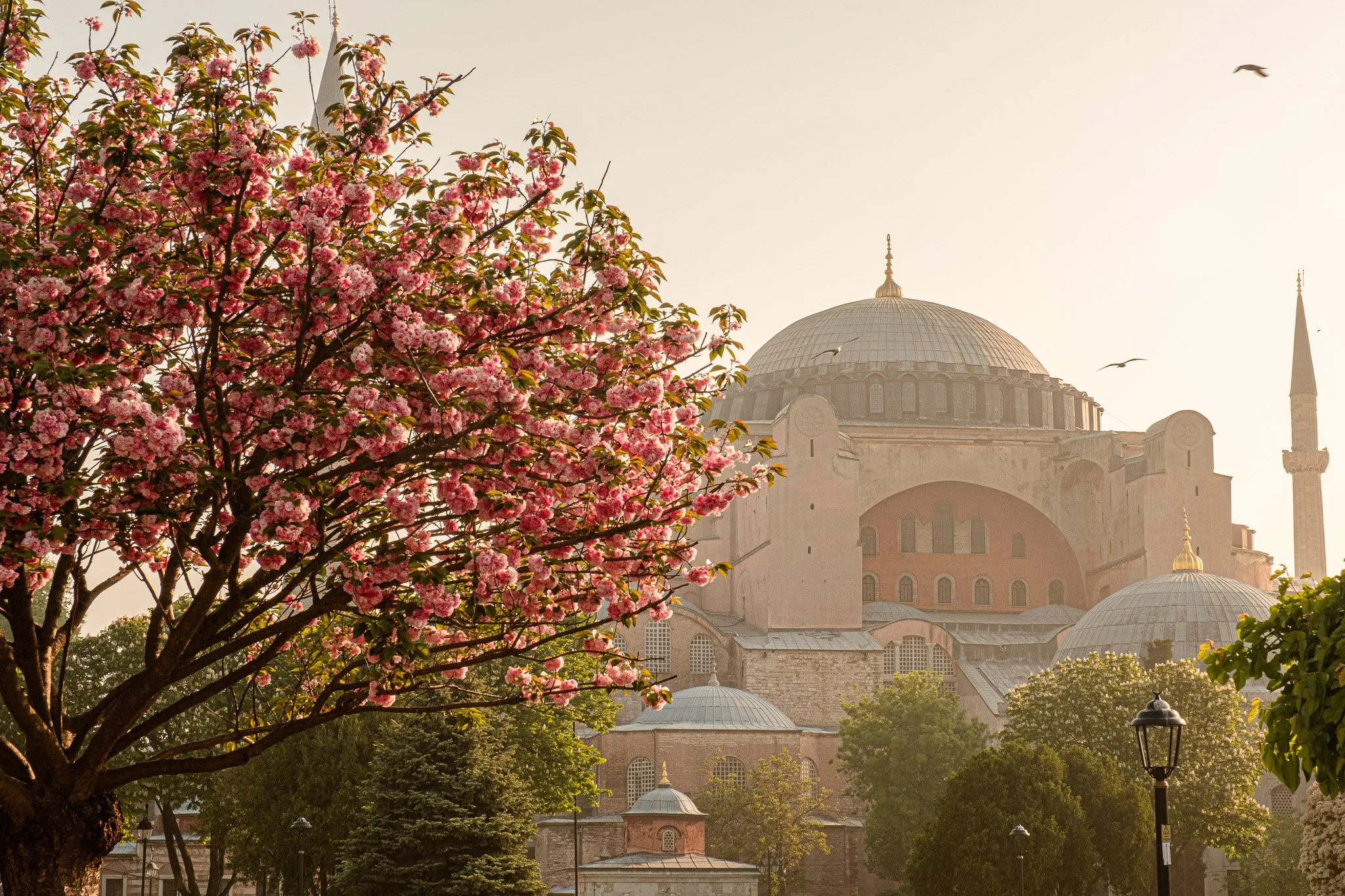 DSCF0627 (2)__LR__Web.jpg