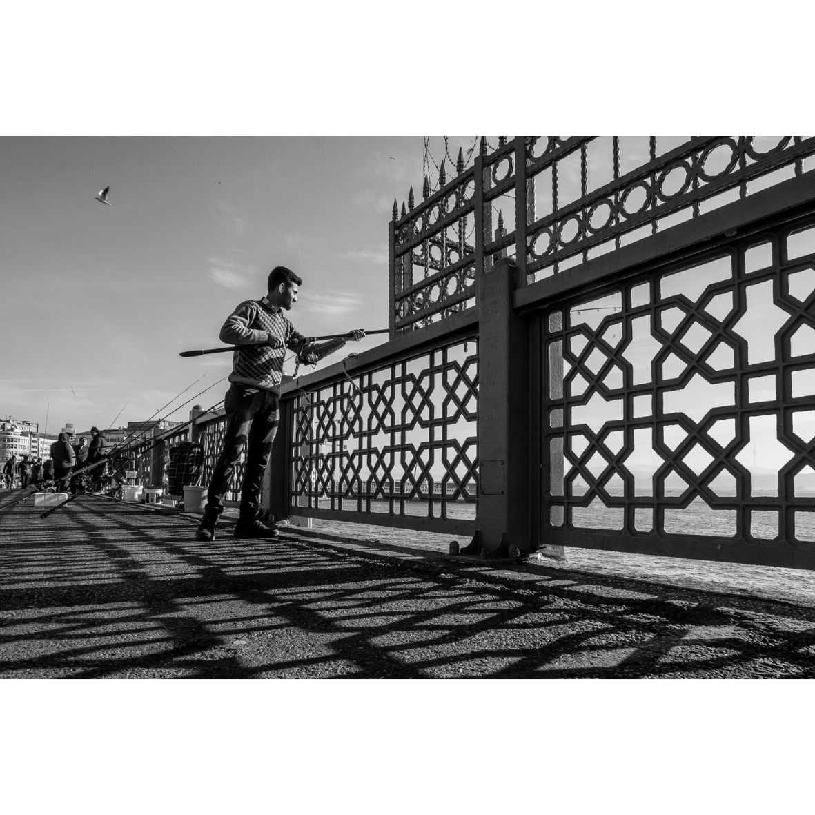 Untitled design (24).png