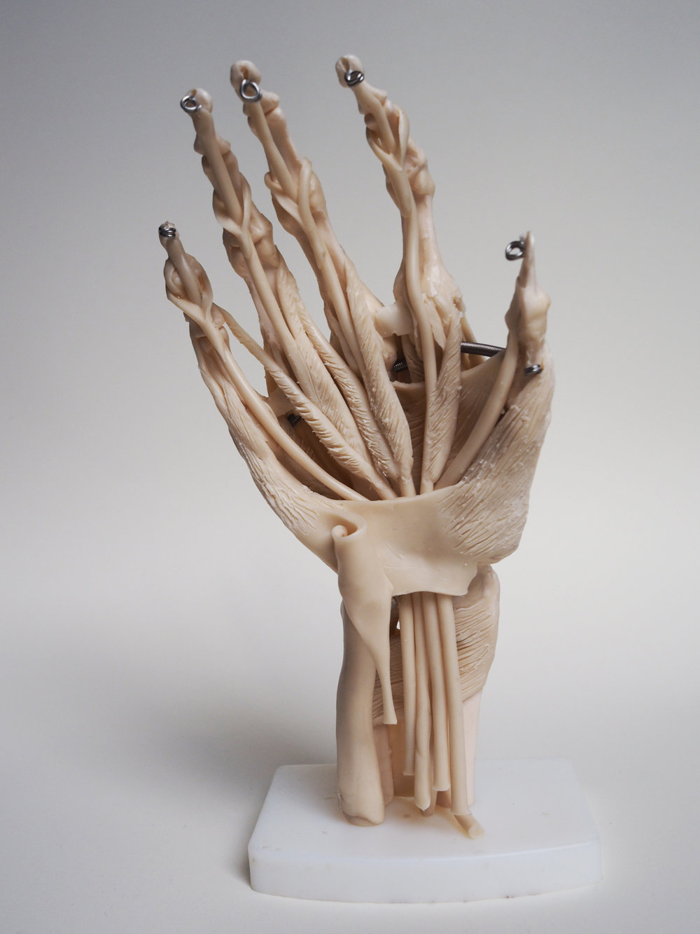Hand.jpg