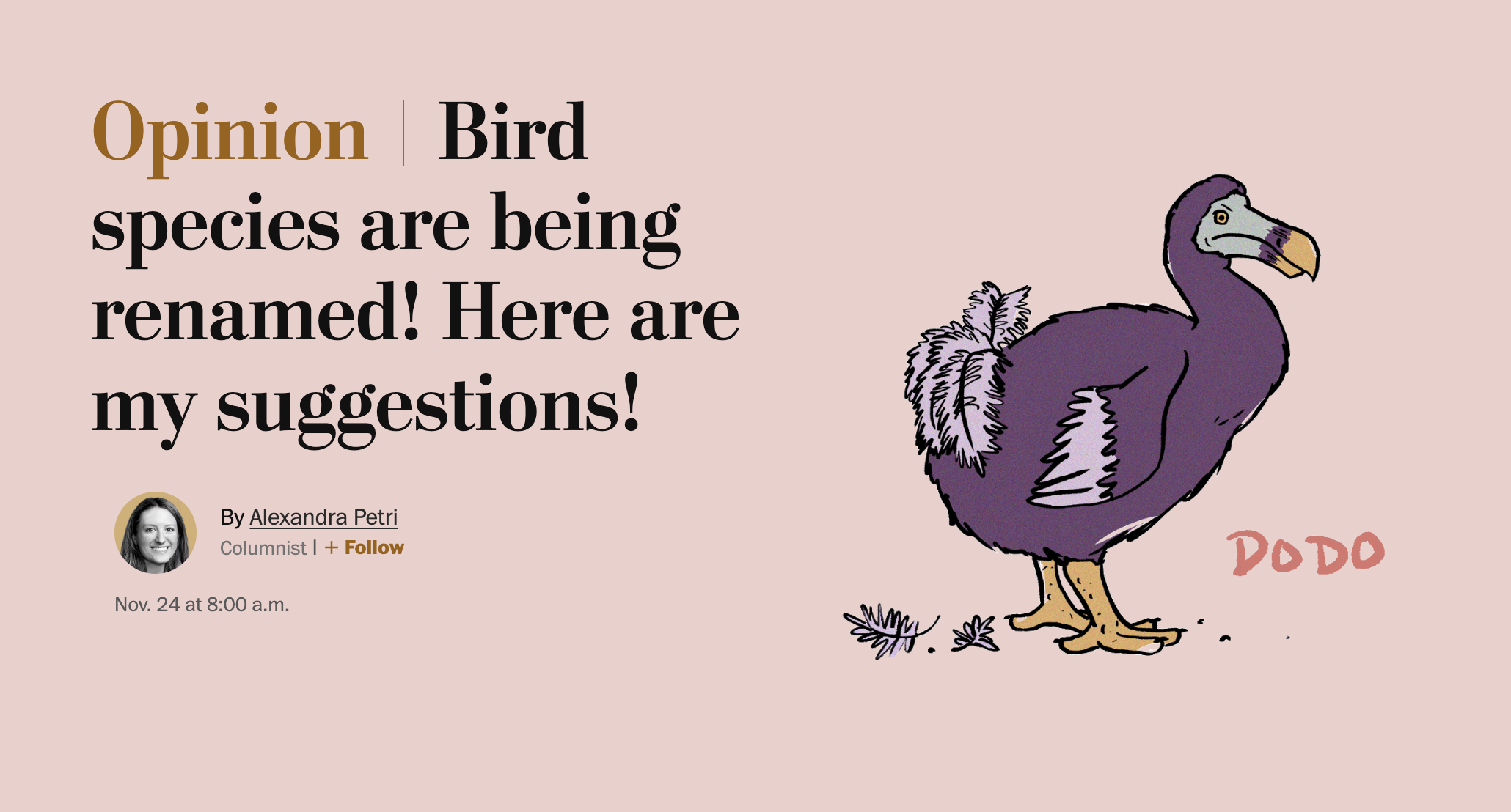 Bird species are being renamed! Here are my suggestions!

Art direction and illustration by Michelle Kondrich.