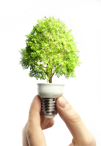 bulb.png