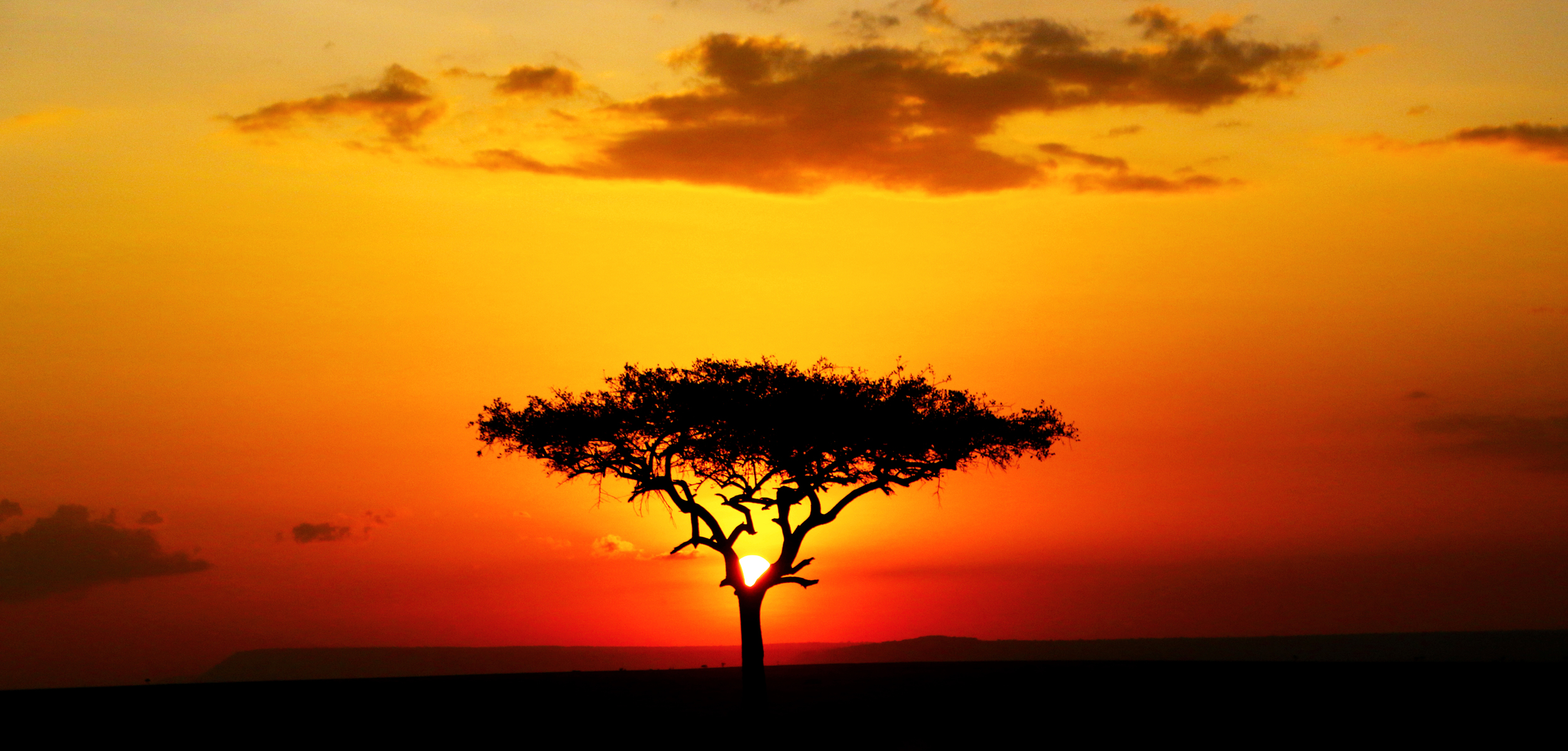Sunset in the Masai Mara